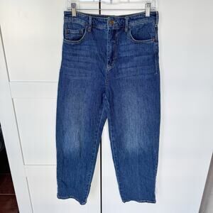 Anthropologie Pilcro‎ The Column High Rise Straight Jeans Medium Wash Denim 29